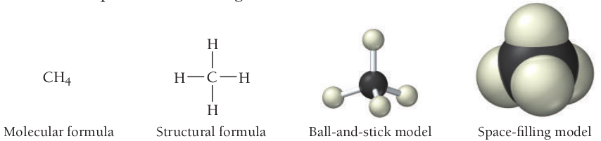 image-20240804143410969