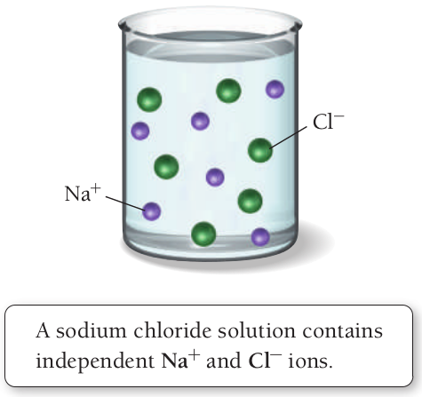 image-20240806231350799