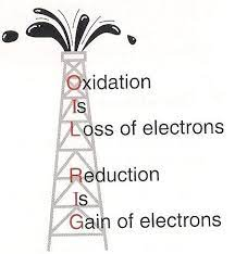 image-20240810154252637