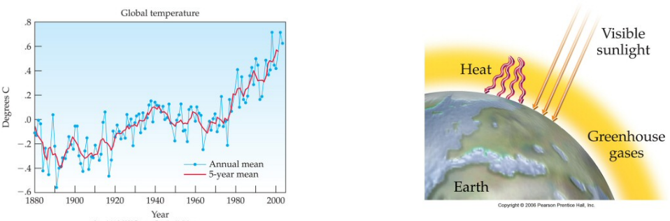 image-20250507214947296